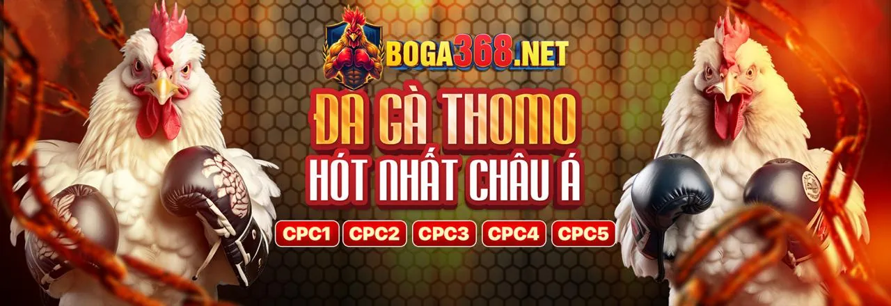 Đá Gà Trực Tuyến Hàng Đầu okking79