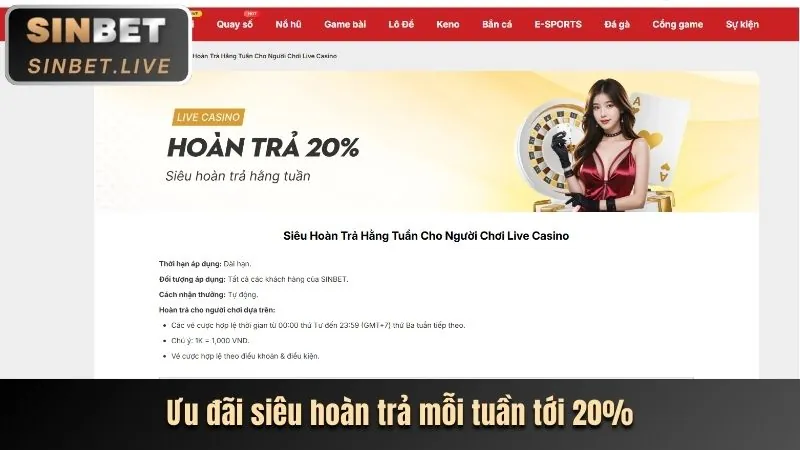 Hình ảnh tổng hợp các sản phẩm và dịch vụ cá cược tại okking79